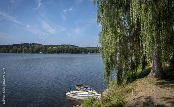 Fototapeta The boats by the shore and a tree on the slap dam