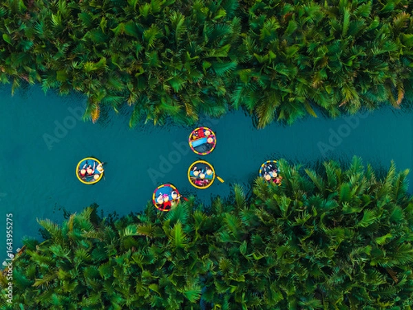 Fototapeta Aerial view of colorful basket boats in lush greenery of hoi an river, vietnam