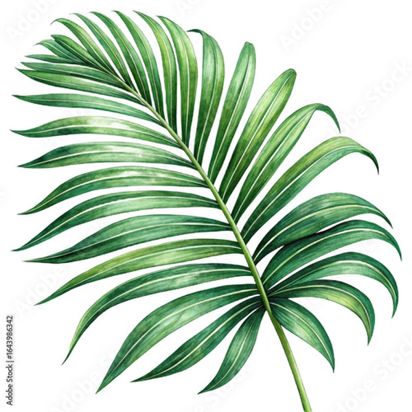 Obraz Lush Green Palm Frond Watercolor Illustration: Tropical Botanical Design Element for Summer Branding and Print Projects.