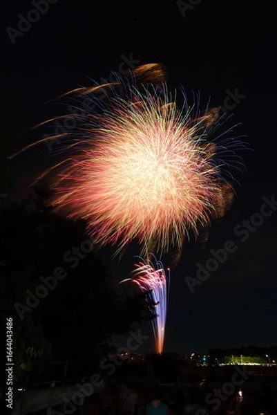 Fototapeta 花火 日本の夏 さいたま市