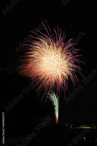 Fototapeta 花火 日本の夏 さいたま市