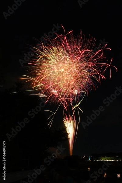 Fototapeta 花火 日本の夏 さいたま市