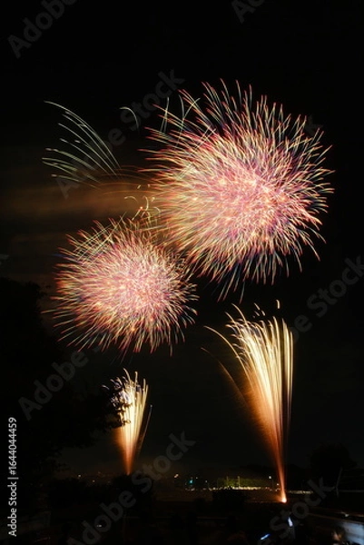 Fototapeta 花火 日本の夏 さいたま市