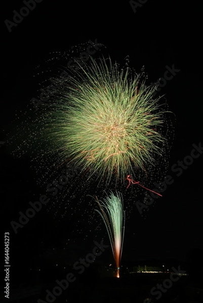 Fototapeta 花火 日本の夏 さいたま市