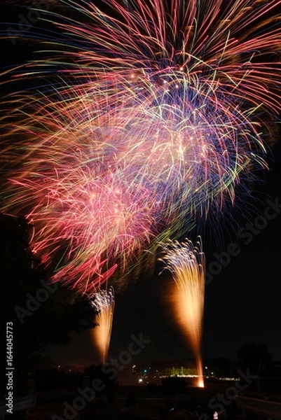 Fototapeta 花火 日本の夏 さいたま市