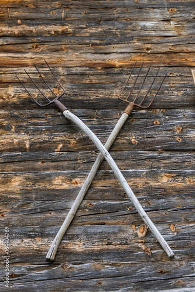 Fototapeta Pitchfork