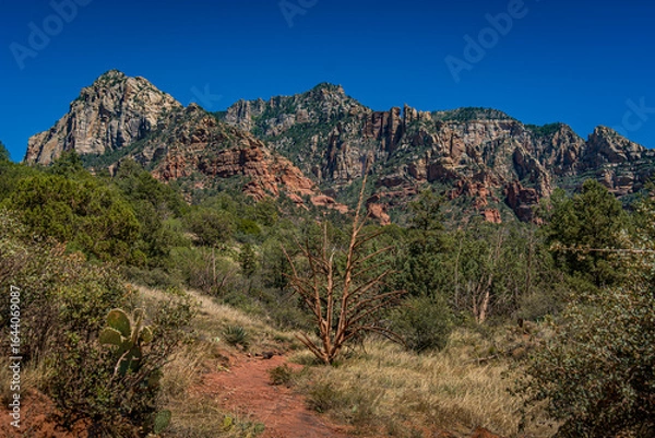 Fototapeta Sedona Mountain View