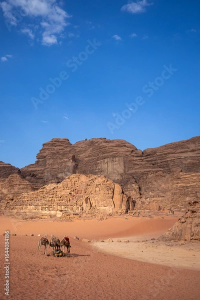 Fototapeta Wadi Rum Desert with Dromedary Camel and Red Sand. Vertical Outdoor Scenery with Even-Toed Ungulate during Afternoon in Jordan.