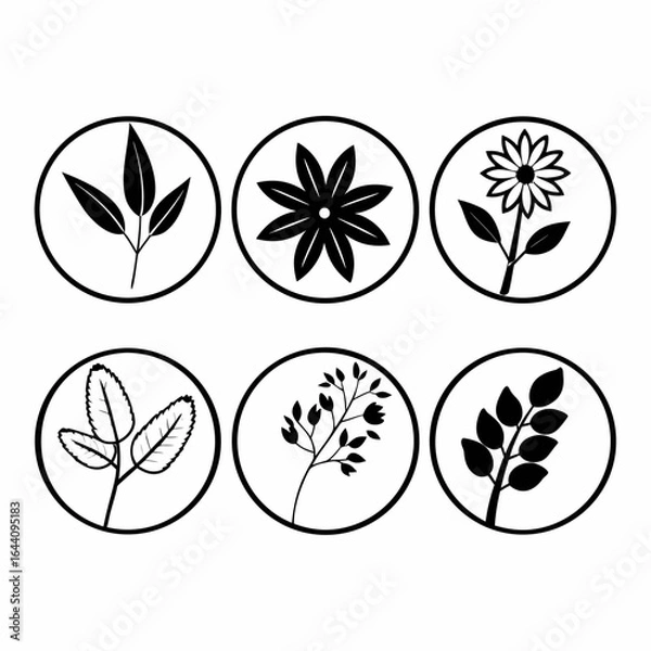 Fototapeta Collection of botanical icons with various leaves and flowers isolated on white background