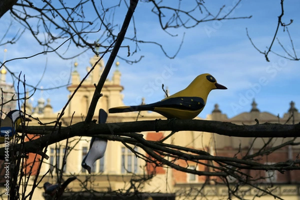 Fototapeta A leafless tree with several colorful artificial birds perched on its branches is set against a clear blue sky and urban buildings in the background.