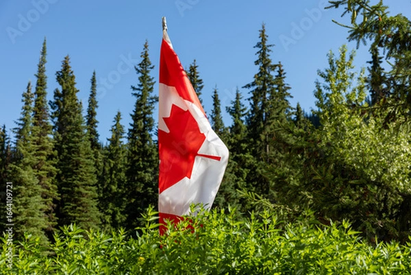 Obraz A Canadian flag on a pole rises above the bushes with trees in the background.