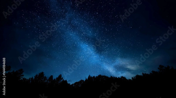 Fototapeta Vast deep blue night sky filled with countless sparkling stars and the glowing Milky Way above a dark forest silhouette