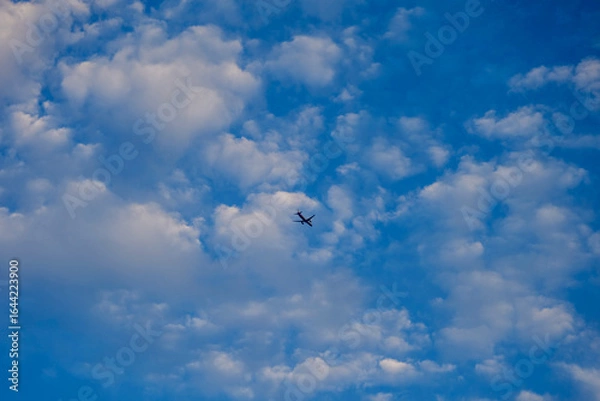 Fototapeta sky, 날기, 구름, 비행기, 대패, 버드, 날다, 도망, 공기, 갈매기, 여행, 항공기, 네이처, 태양, blue, 제트, 백, 자유, 높다, 날개, 실루엣, 일