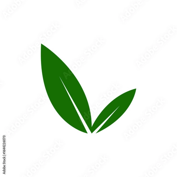 Obraz green leaves on white background