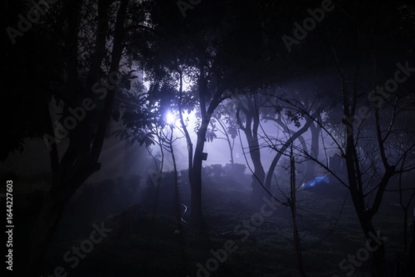 Fototapeta Mysterious pathway. Footpath in the dark, foggy, autumnal, mysterious forest.