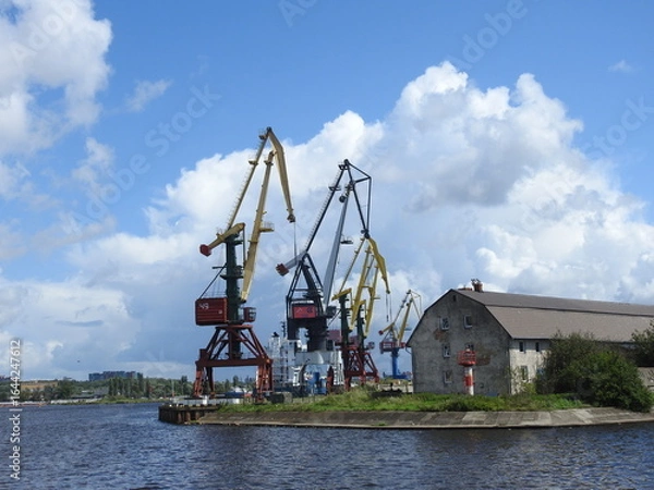 Obraz cranes in the harbor