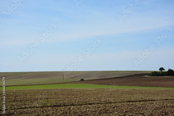 Obraz Tracteur pendant la moisson