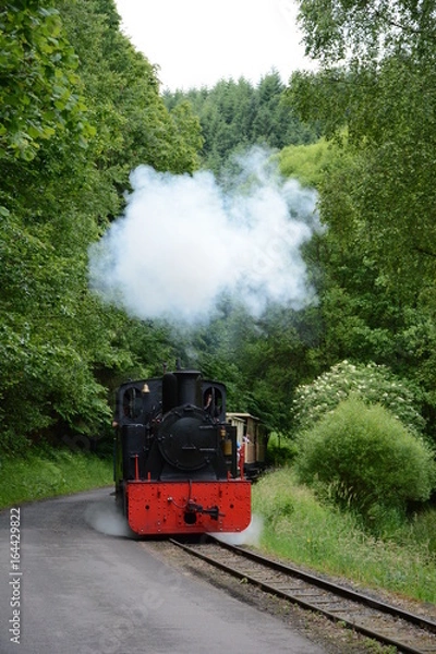 Obraz Train touristique d'Abreshviller