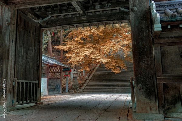 Fototapeta Artistic view of autumn leaves and trees with stone staircase at a Japanese temple, as seen through wooden entrance arch in Kyoto, Japan