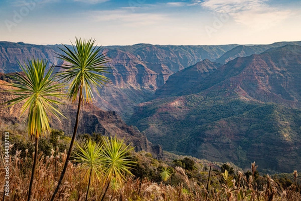 Obraz island canuyons
