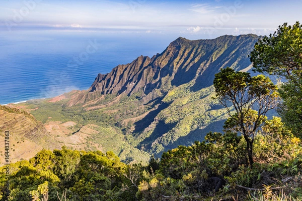 Obraz Endless valley kauai