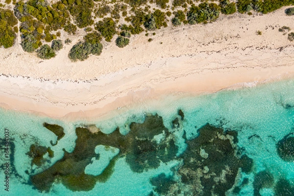 Obraz Anegada patterns