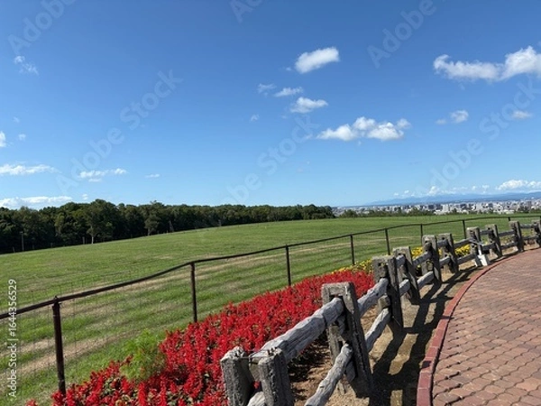 Obraz さっぽろ羊ヶ丘展望台の景色