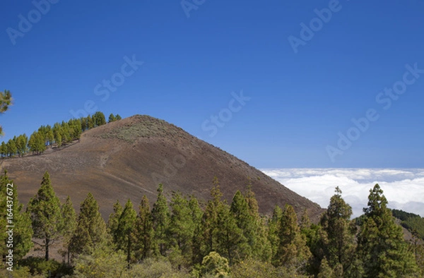 Fototapeta Gran Canaria,  July