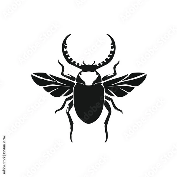 Obraz Stylized Scarab Beetle