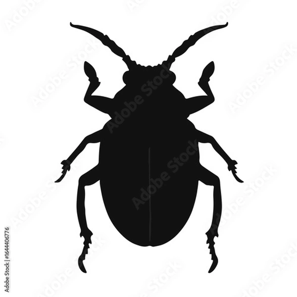 Obraz Scarab Beetle Illustration
