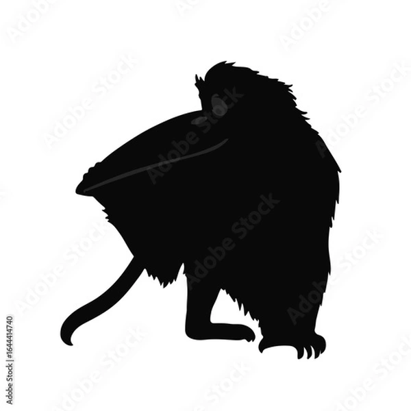 Obraz Proboscis Monkey Image