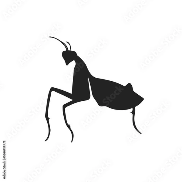 Obraz Praying Mantis Illustration