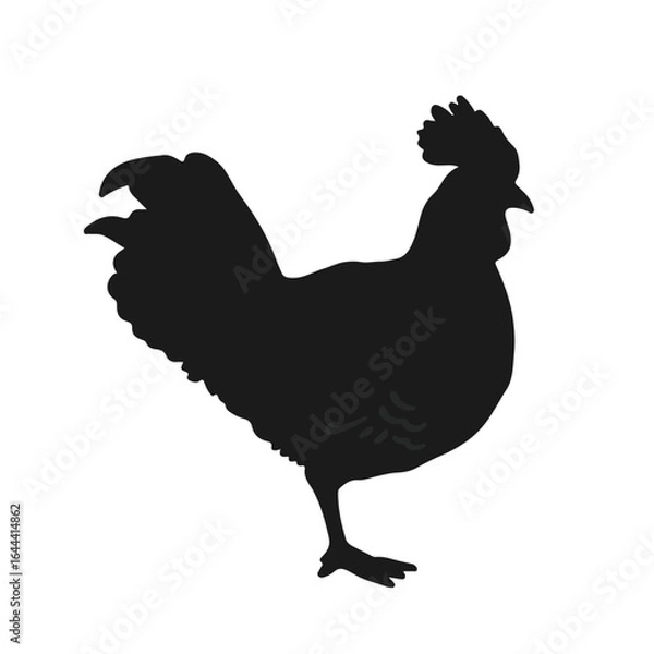 Obraz Prairie Chicken Illustration