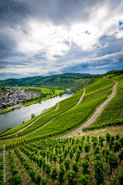 Fototapeta Zell (Cochem) - Germany
