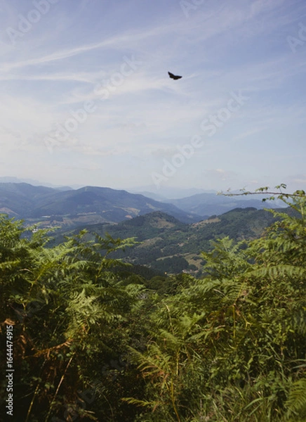 Obraz Mountain Landscape in Spain 