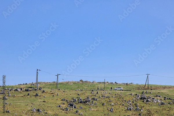 Fototapeta 草原と車