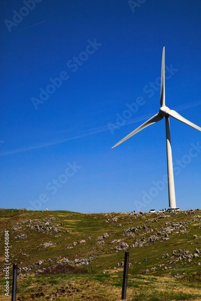 Fototapeta そびえ立つ風車