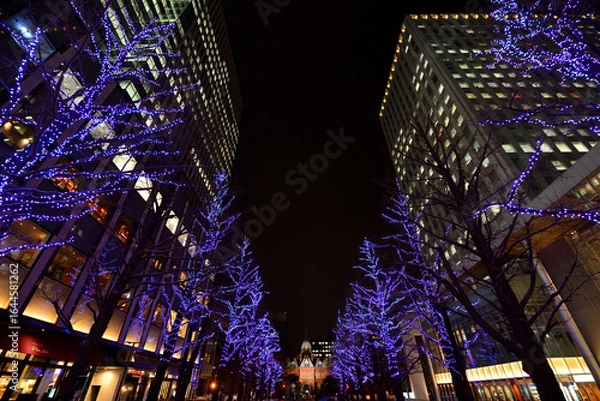 Fototapeta さっぽろホワイトイルミネーション　赤れんが庁舎