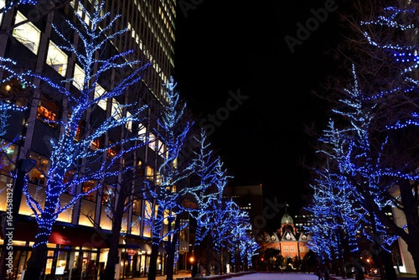 Fototapeta さっぽろホワイトイルミネーション　赤れんが庁舎