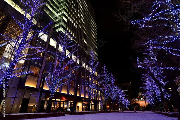 Fototapeta さっぽろホワイトイルミネーション　赤れんが庁舎