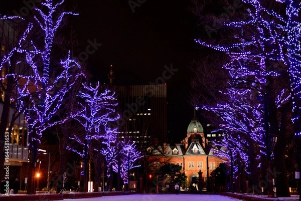Fototapeta さっぽろホワイトイルミネーション　赤れんが庁舎