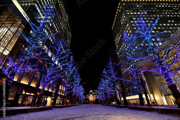 Fototapeta さっぽろホワイトイルミネーション　赤れんが庁舎