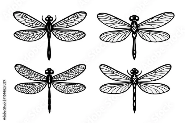 Obraz Set of four dragonfly vector illustrations. Black and white insect silhouettes for logos, tattoos, or artistic decorations. Natural line art design elements on white.