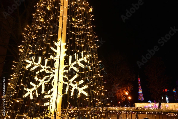 Fototapeta さっぽろホワイトイルミネーション 大通公園
