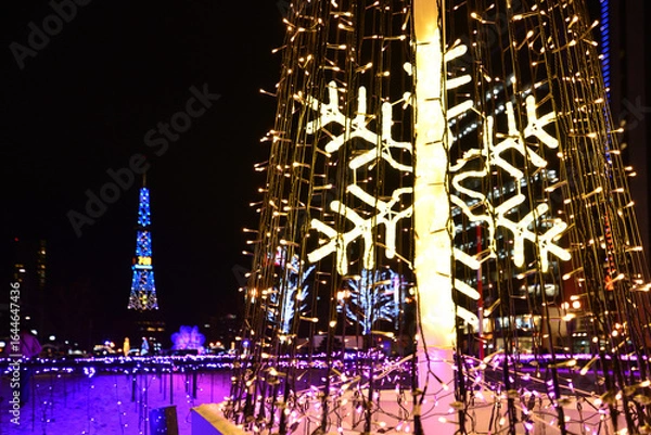 Fototapeta さっぽろホワイトイルミネーション 大通公園