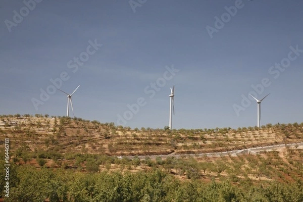 Fototapeta Champs et Eoliennes