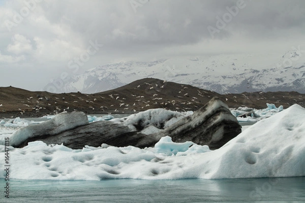 Obraz glacier lagoon