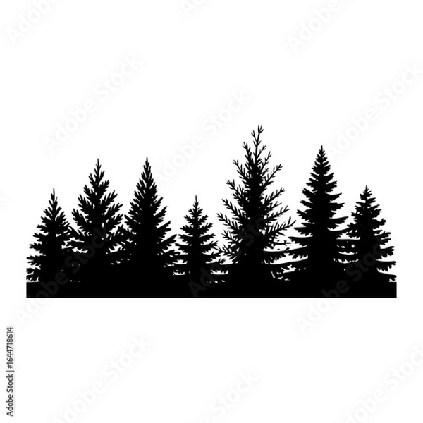 Fototapeta Evergreen forest silhouette evergreen trees pine trees