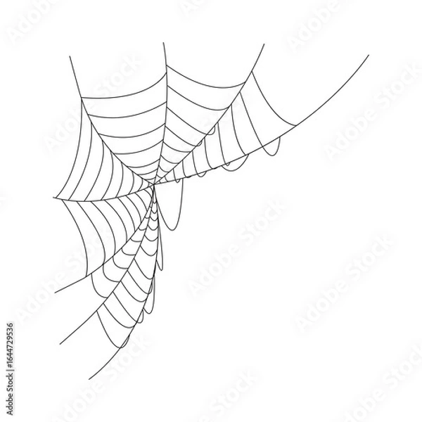 Obraz spider and web  silhouette isolated on transparent background