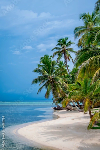 Fototapeta A white beach with palm trees on an island in Panama